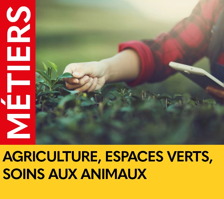 AGRICULTURE, ESPACES VERTS, SOINS AUX ANIMAUX